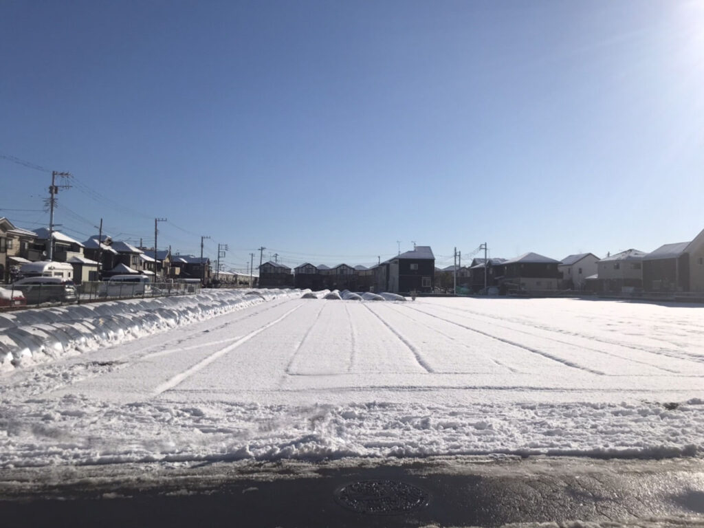 初雪
