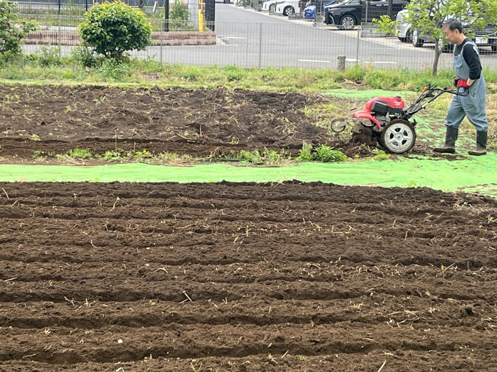 まなび畑どうなった？？