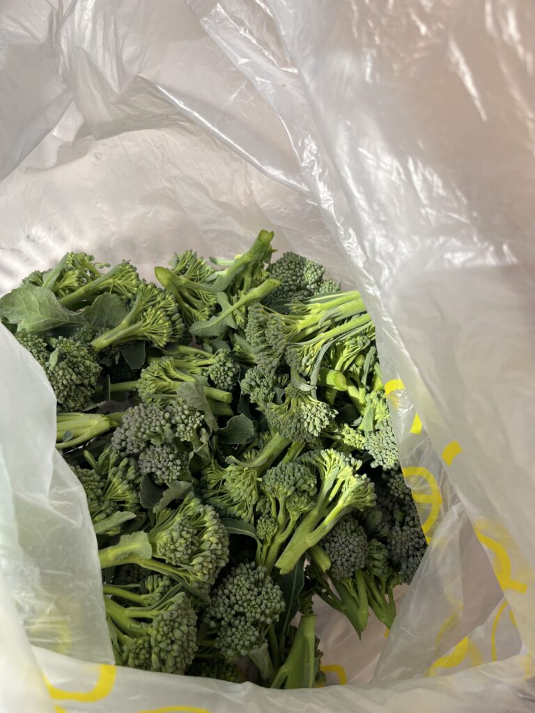 まなび～おやつレク～餃子の皮ピザ🍕編～