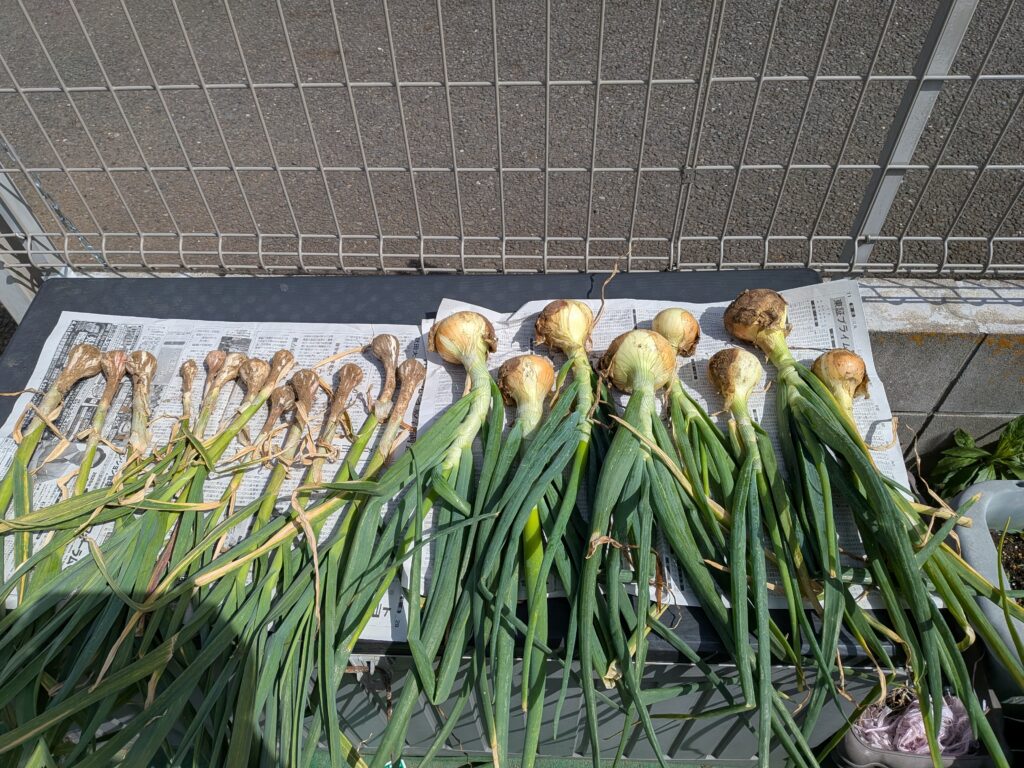 まなびの畑～収穫と新しい仲間たち～